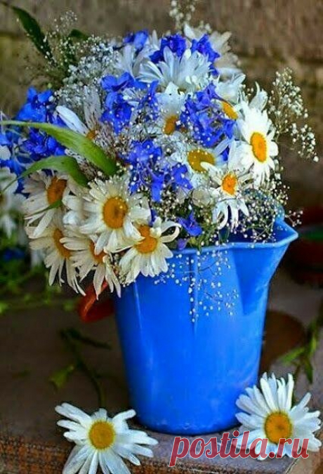 ༺🌸༻Не оставляйте счастье на потом. 
И в прок ни чувств, ни денег не копите. 
Делитесь кровом, хлебом и добром! 
И каждым мигом жизни дорожите!