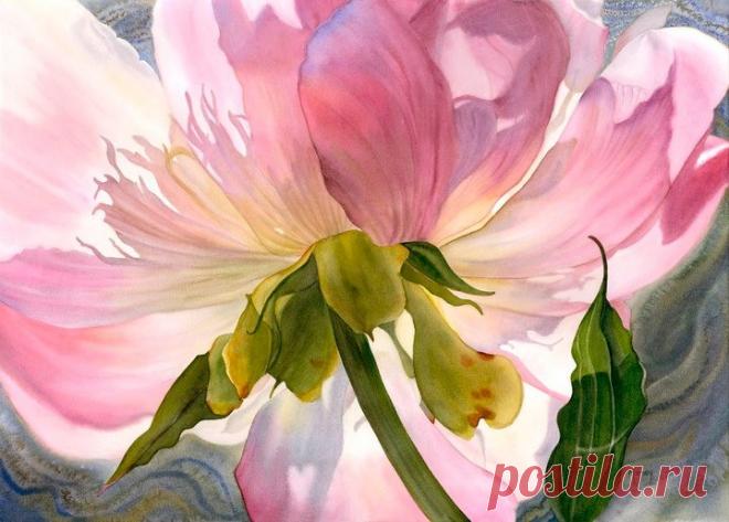 Акварели Marney Ward (Марни Вард) - цветы крупным планом