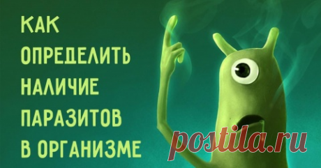 Признаки наличия паразитов в организме. Проверьте себя и своих близких!