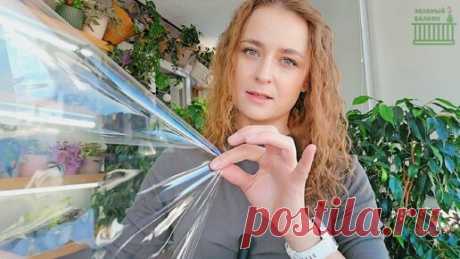 ПЫШНЫЕ ФИКУСЫ: Что я делаю с ними? | 🟣 🟢 Екатерина Незабудька | Дзен