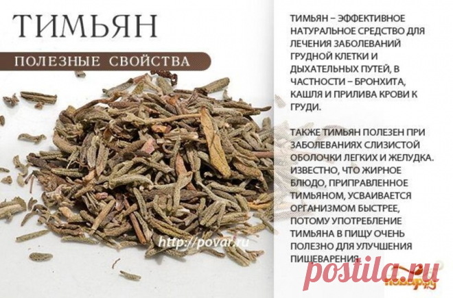 Тимьян (чабрец) полезные свойства