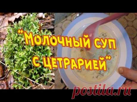как сделать лечебные шарики из цетрарии: 2 тыс изображений найдено в Яндекс Картинках