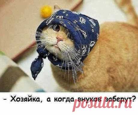 Крик души...