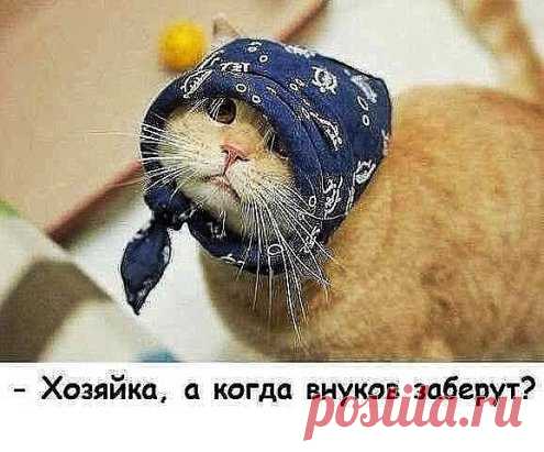 Крик души...