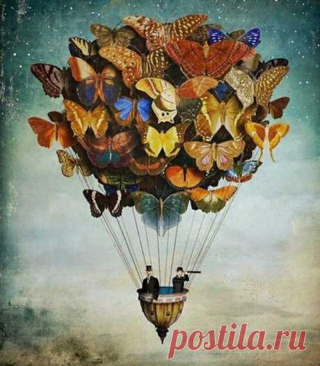 137003-Butterfly-Hot-Air-Balloon.jpg (610×697)