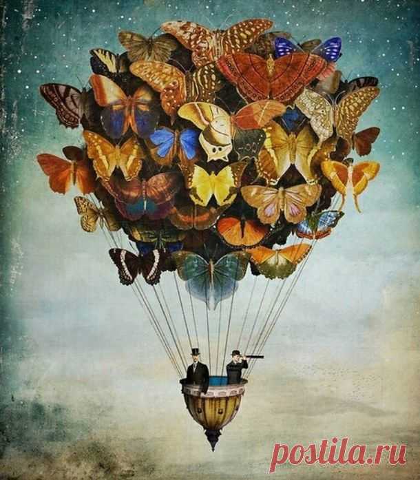137003-Butterfly-Hot-Air-Balloon.jpg (610×697)