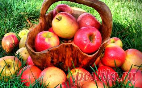 лето картинки природа - Поиск в Google