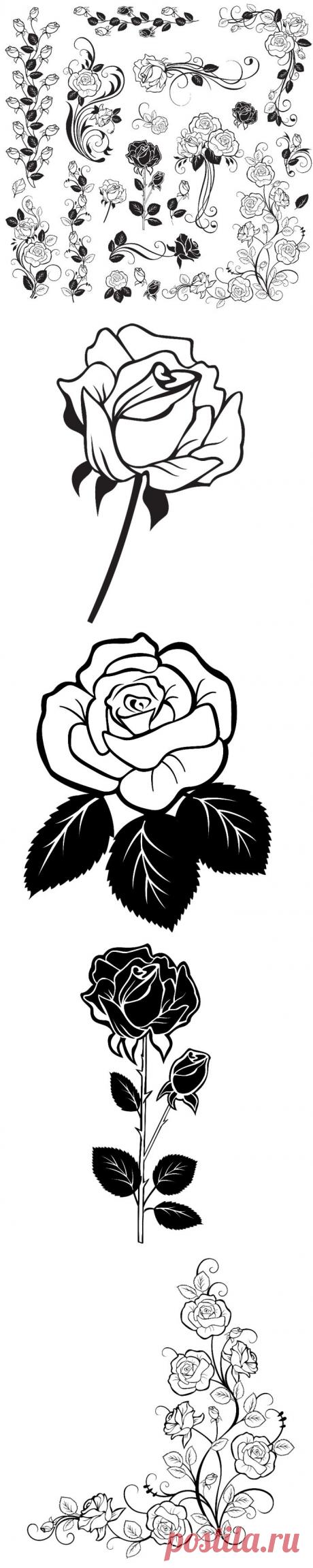 Шаблоны для творчества. Розы..