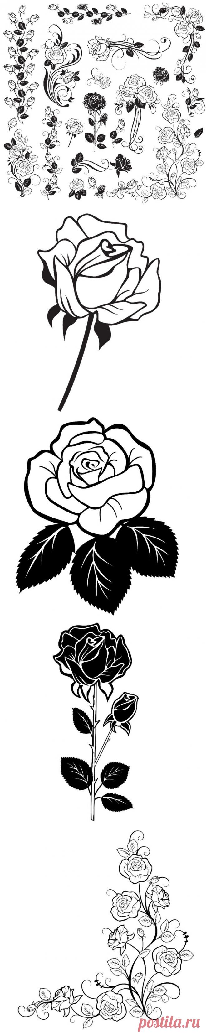 Шаблоны для творчества. Розы..