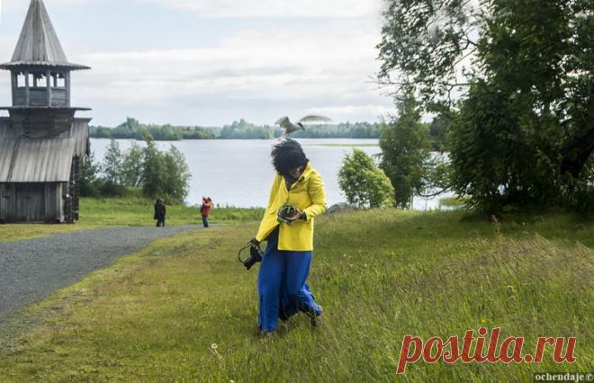 Мистические места Карелии: от христианской святыни до северной Кама-сутры. Словом, эзотерики всех мастей считают остров местом интенсивного геоактивного излучения, говоря простым языком – место силищи богатырской, где переплетаются верхние миры духов, людей и мир демонов.Меня на Кижах атаковали чайки, кода я охотилась за прекрасным кадром, в центре которого было гнездо. Но птицы, наверное, подумали, что гнездо у меня на голове.
Как добраться до острова Кижи:Если у вас есть...