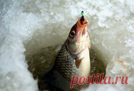 Подлёдная Рыбалка На Мормышку: Оснащение