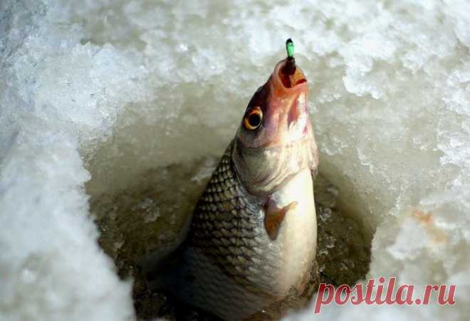 Подлёдная Рыбалка На Мормышку: Оснащение