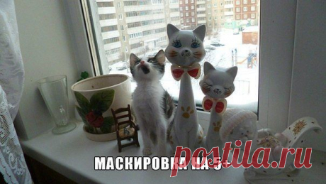 (2) Одноклассники