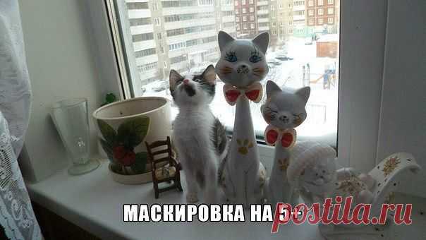 (2) Одноклассники