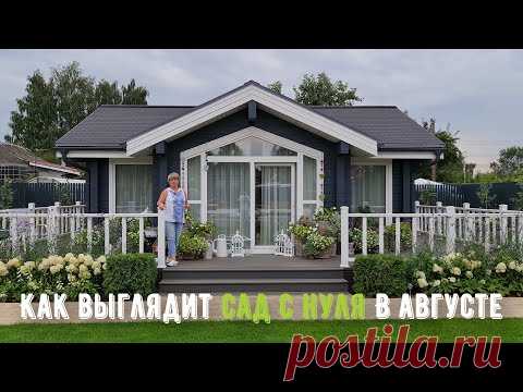 Август. Обзор проекта САД С НУЛЯ