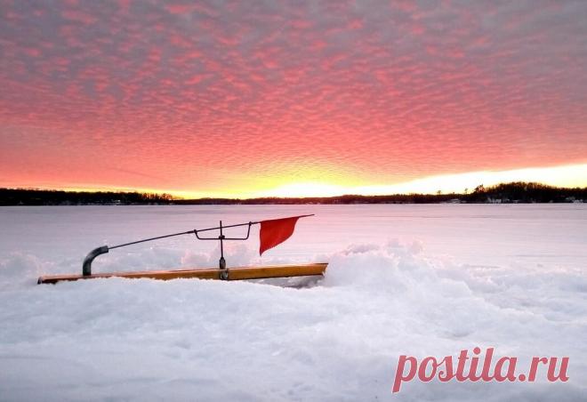Щука схватит живца! О зимней жерлице простыми словами | Рыбалка для людей | Яндекс Дзен