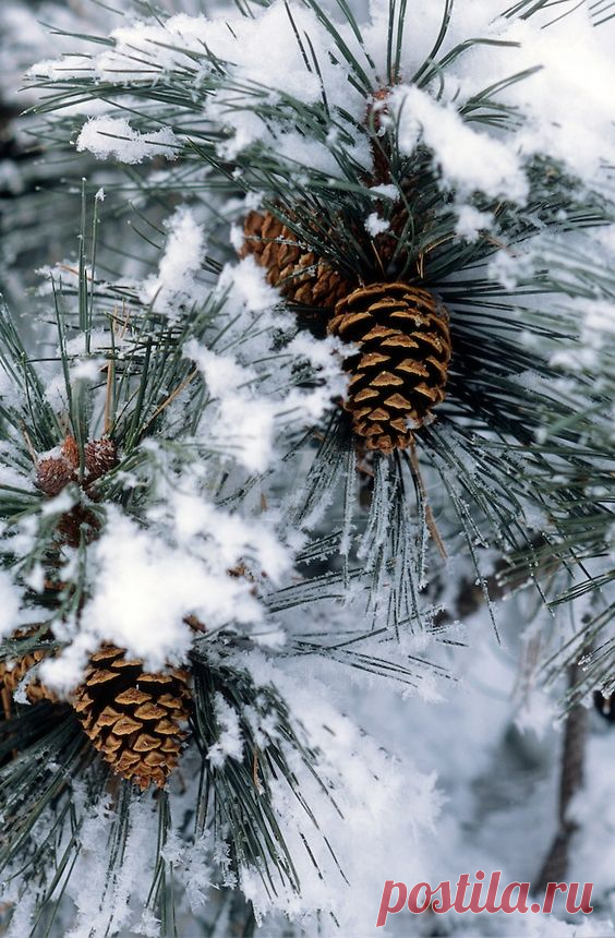 An image on imgfave  |  Pinterest • Всемирный каталог идей