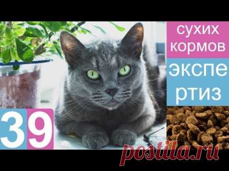 Экспертиза 39 сухих кормом - состав, качество и безопасность