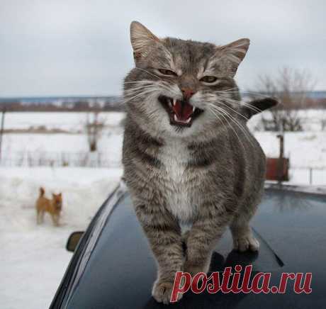 Новости