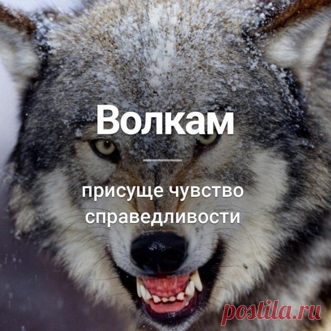 Валерий Дунаев - Боровичи, Новгородская обл., Россия, 74 года на Мой Мир@Mail.ru