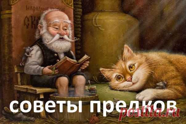 Забытые советы наших предков в стихах