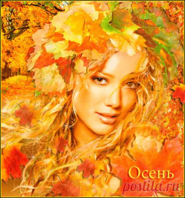 Ну, что тут скажешь? Осень красива
