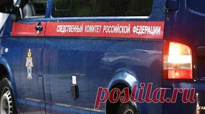 В Москве задержали подозреваемого в изнасиловании несовершеннолетней. В столичном СК заявили о задержании уроженца Таджикистана, подозреваемого в изнасиловании 15-летней девочки. Читать далее