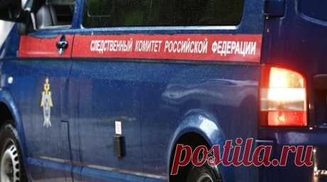 В Москве задержали подозреваемого в изнасиловании несовершеннолетней. В столичном СК заявили о задержании уроженца Таджикистана, подозреваемого в изнасиловании 15-летней девочки. Читать далее