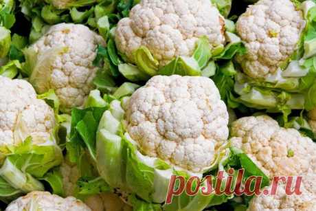 Капуста цветная - калорийность и свойства. Польза и вред цветной капусты..