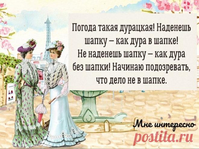 Интеллект - отвратительная вещь - новая порция веселых картинок из моей рукодельной группы | МНЕ ИНТЕРЕСНО | Яндекс Дзен