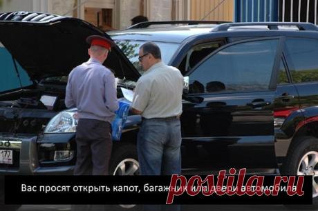досмотр машины