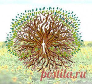 :Очищение и восстановление родовых связей.