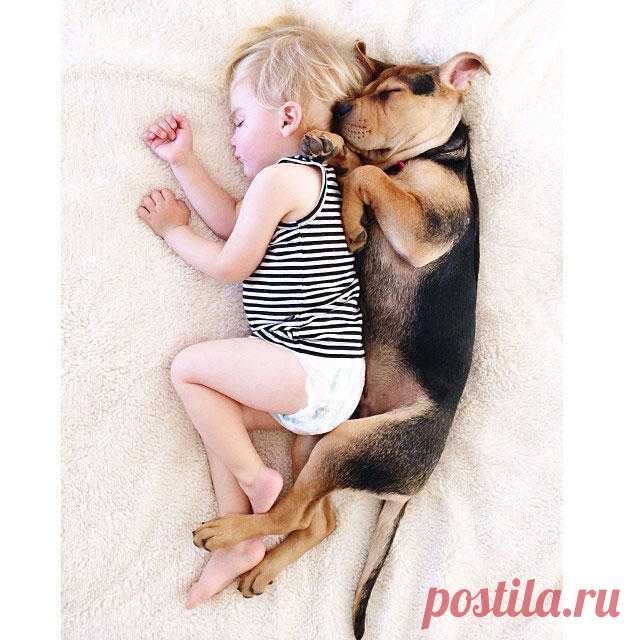 Сладкая парочка спящих
