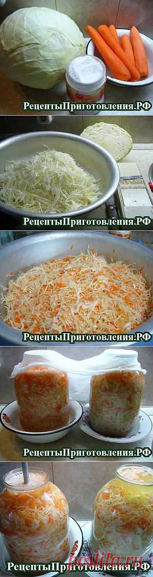 Приготовление квашеной капусты на зиму | Рецепты Приготовления.рф