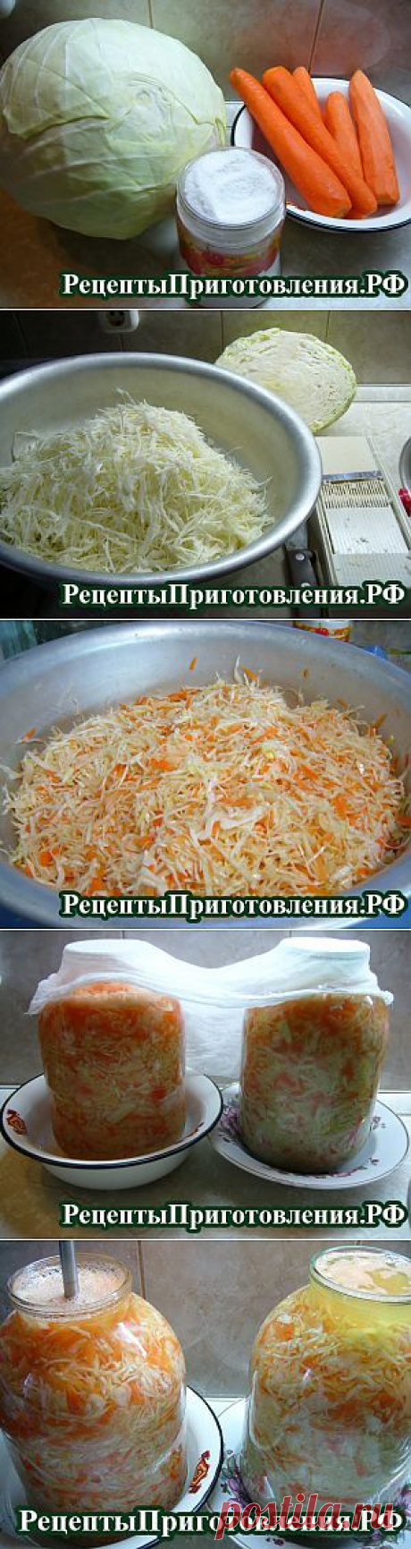 Приготовление квашеной капусты на зиму | Рецепты Приготовления.рф