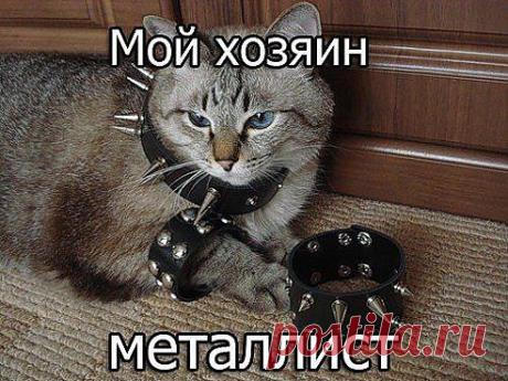 Одноклассники