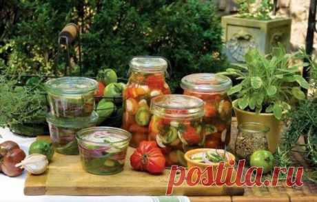 Рецепты самых вкусных закусок на зиму, секреты выбора ингредиентов и