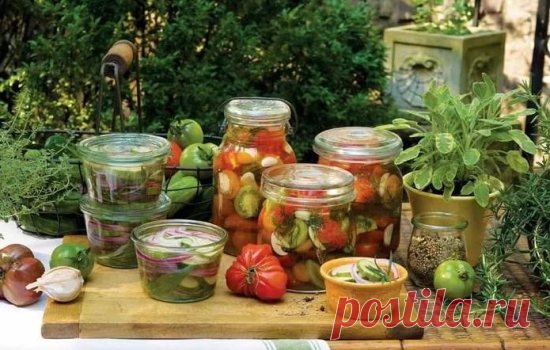 Рецепты самых вкусных закусок на зиму, секреты выбора ингредиентов и