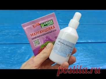 Смешал МАРГАНЦОВКУ и Перекись водорода, результат просто шикарный! Теперь всегда так делаю