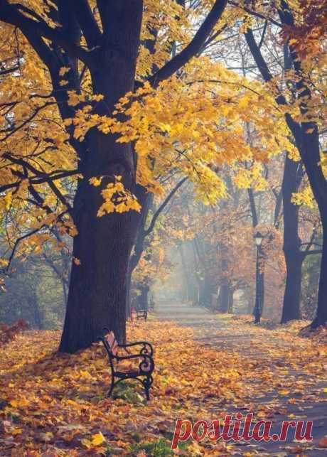 Autumn 🍂