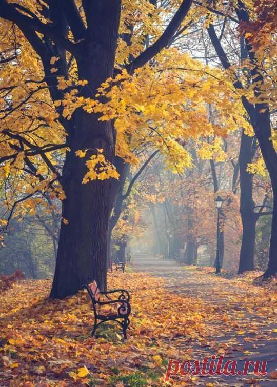 Autumn 🍂