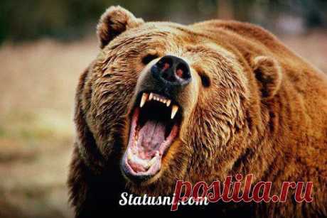 Русские люди очень терпеливы.
Те, кто думают, что это покорность,
со временем жалеют об этом.... если успевают... )))