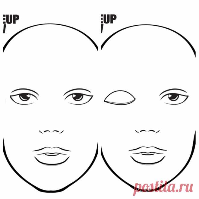 dfc3.jpg (1452×1452)