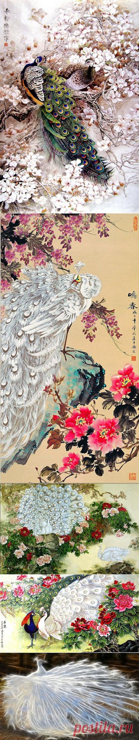 Павлины в живописи.