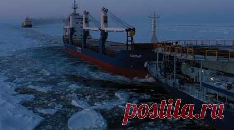 От вооружения до медикаментов: Минобороны РФ завершило северный завоз в труднодоступные части страны. Минобороны РФ завершило доставку материальных средств в районы Крайнего Севера, отдалённые гарнизоны Сибири и Дальнего Востока. Между 133 труднодоступными пунктами было распределено свыше 76 тыс. тонн различных грузов. Среди них вооружение, военная техника, горюче-смазочные материалы, котельное топливо, продукты питания, вещевое и медицинское имущество. Для доставки грузов были задействованы…