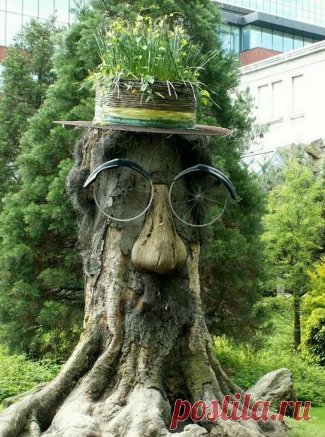 Если пень трудно выкорчевать