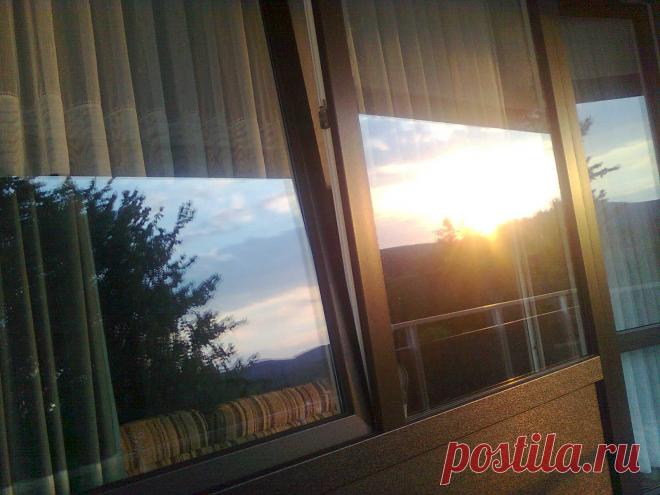 Солнечное лето "садится" в моем окне...