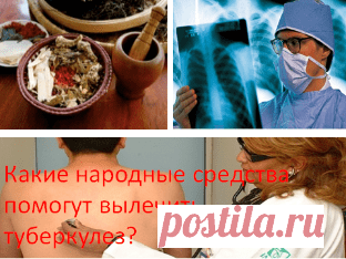 Самые эффективные народные средства при лечении туберкулеза Какие самые эффективные методы лечения туберкулеза легких у взрослых народными средствами в домашних условиях. Как вылечить заболевание с помощью народной медицины, отзывы. Что наиболее полезно для профилактики болезни: прополис, чеснок, ингаляции, мумие, алоэ, травы, козье молоко, восковая моль, перга, исландский мох, барсучий жир