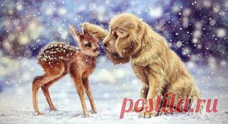 Я тебя согрею