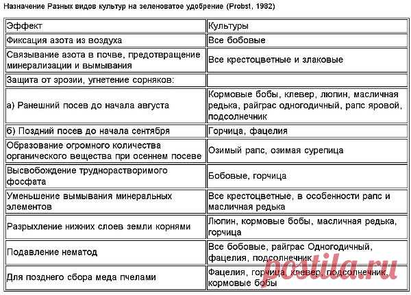 Сидераты - это урожай! Часть 1: Теория. | ОГОРОД БЕЗ ХЛОПОТ